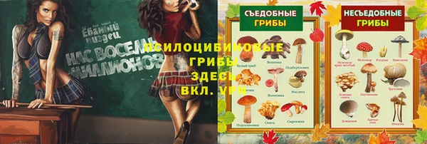 экстази Алзамай