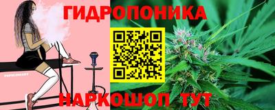 jwh Можга