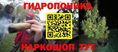 jwh Можга