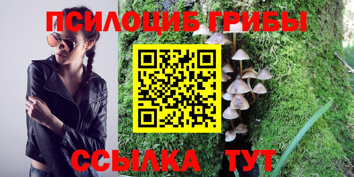 Псилоцибиновые грибы MAGIC MUSHROOMS Ярцево